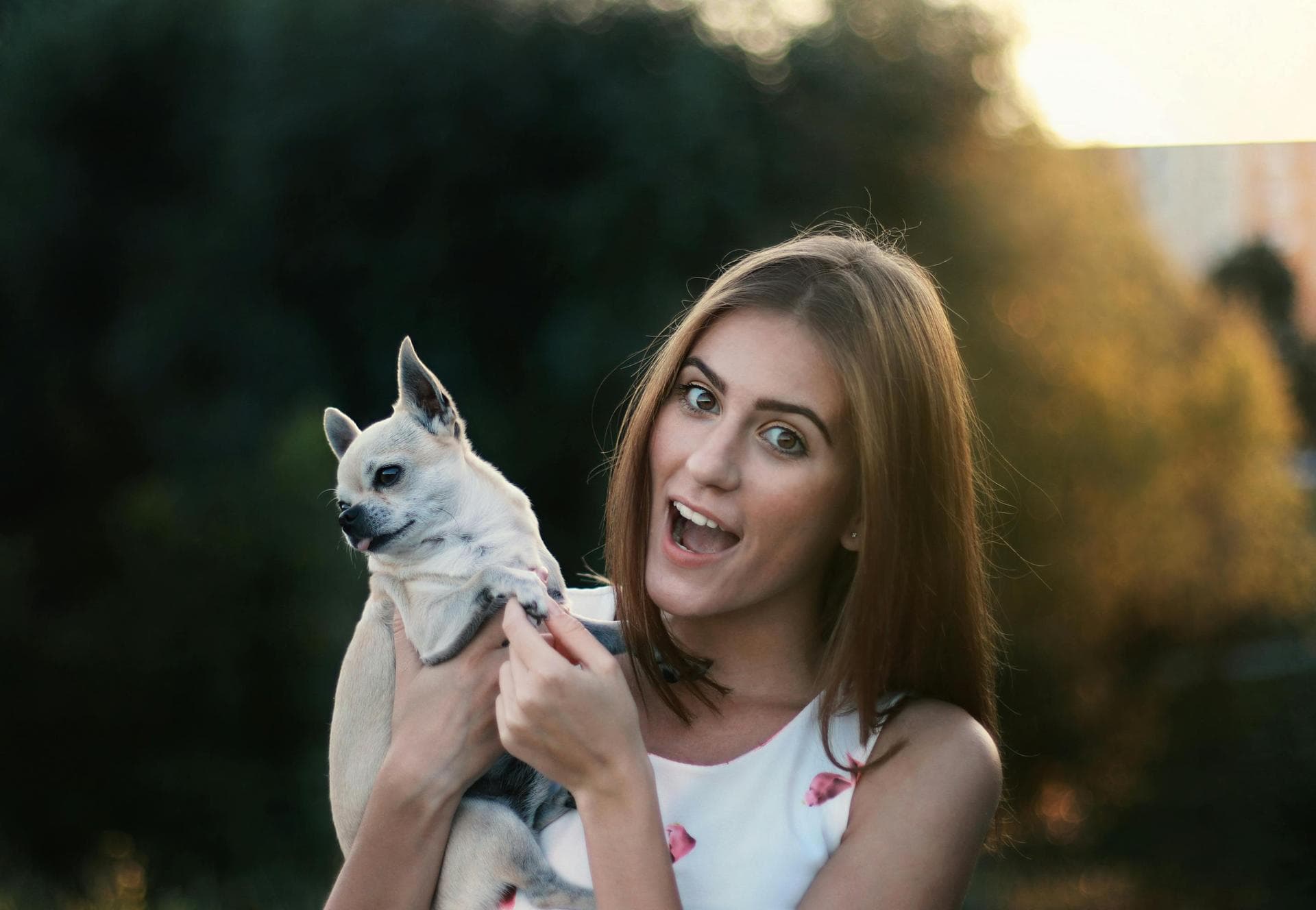 Dog & Cat Vets in Antioch