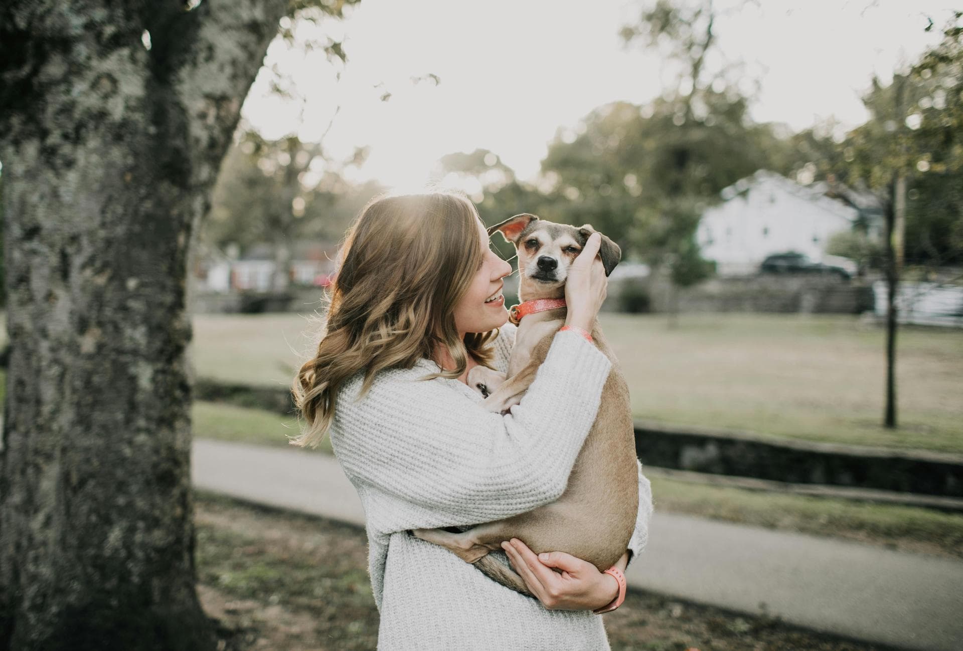 Dog & Cat Vets in Ooltewah