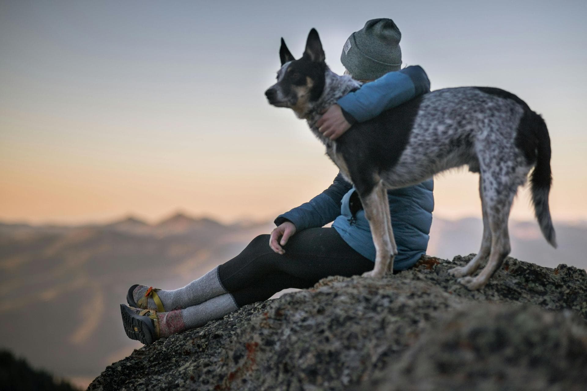Dog & Cat Vets in Kingston Springs