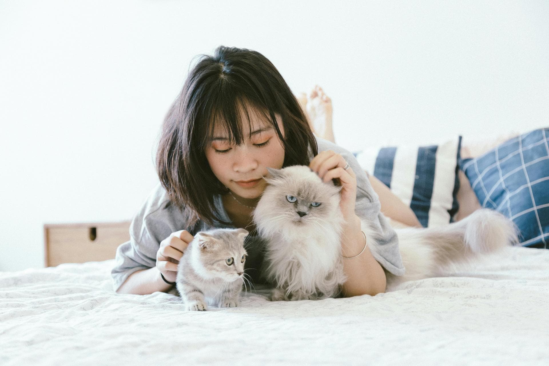 Dog & Cat Vets in Hendersonville